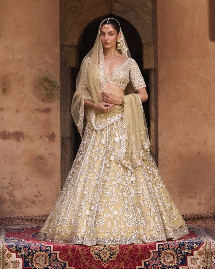 Asanti Lehenga in Golden Beige