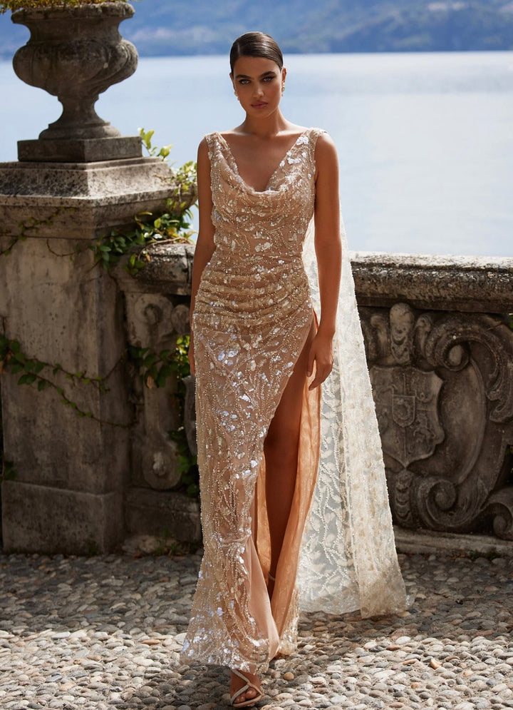 Natalia Embellished Gown in Nude