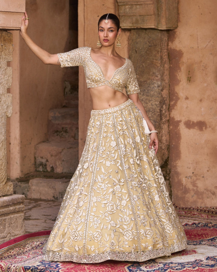 Asanti Lehenga in Golden Beige