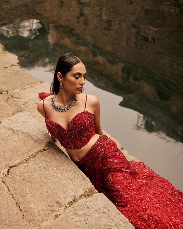Falak Vermillion Red Tulle Sari - back