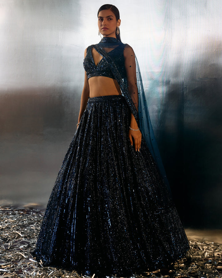 Meera Electric Blue Net Lehenga - detail