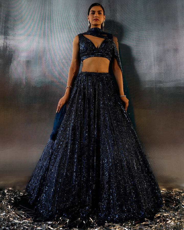 Meera Electric Blue Net Lehenga - blouse detail
