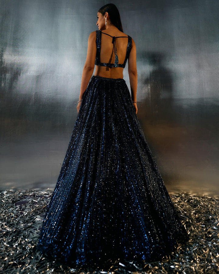 Meera Electric Blue Net Lehenga - back
