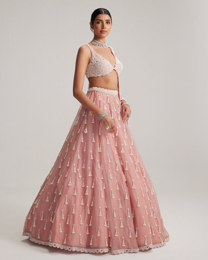 Zara Dusty Rose Organza Lehenga - detail