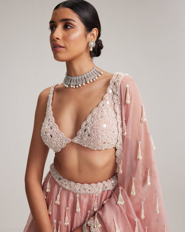 Zara Dusty Rose Organza Lehenga - dupatta